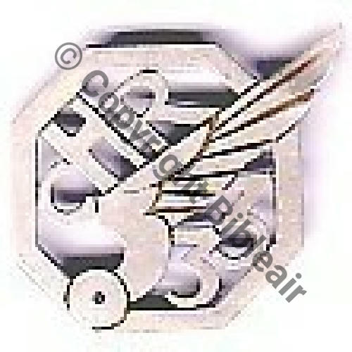 CIE HORS RANG 33eRA  SM Dos lisse irreg 2Anneaux Src.D.LEZIN 